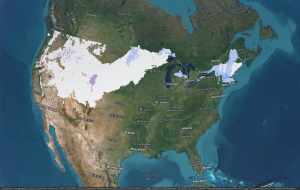 Snow ice forecast map